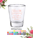 hello gorgeous shot glass