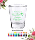 welcome to the world shot glasses